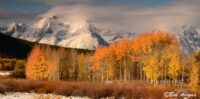 Landscape photography, Yellowstone & Grand Teton prints, photography tours, and information at Three Peaks Photography