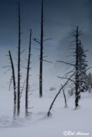 Landscape photography, Yellowstone & Grand Teton prints, photography tours, and information at Three Peaks Photography