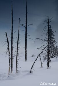 Landscape photography, Yellowstone & Grand Teton prints, photography tours, and information at Three Peaks Photography