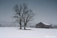 Landscape photography, Yellowstone & Grand Teton prints, photography tours, and information at Three Peaks Photography