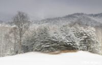 Landscape photography, Yellowstone & Grand Teton prints, photography tours, and information at Three Peaks Photography