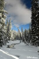 Landscape photography, Yellowstone & Grand Teton prints, photography tours, and information at Three Peaks Photography