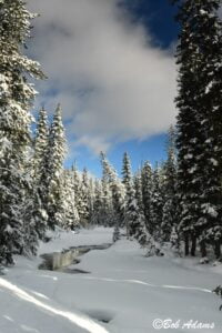 Landscape photography, Yellowstone & Grand Teton prints, photography tours, and information at Three Peaks Photography