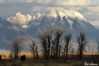 Landscape photography, Yellowstone & Grand Teton prints, photography tours, and information at Three Peaks Photography