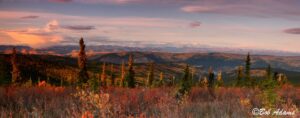 Landscape photography, Yellowstone & Grand Teton prints, photography tours, and information at Three Peaks Photography