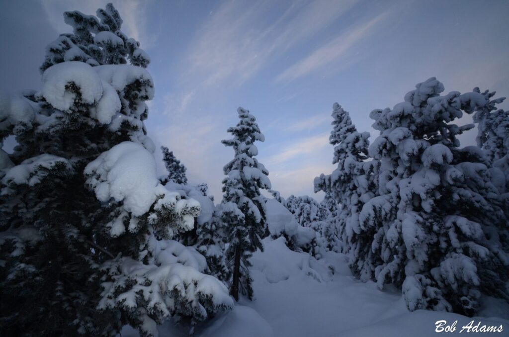 Landscape photography, Yellowstone & Grand Teton prints, photography tours, and information at Three Peaks Photography