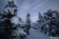 Landscape photography, Yellowstone & Grand Teton prints, photography tours, and information at Three Peaks Photography