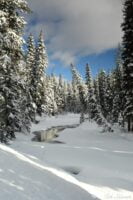 Landscape photography, Yellowstone & Grand Teton prints, photography tours, and information at Three Peaks Photography