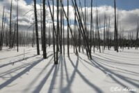 Landscape photography, Yellowstone & Grand Teton prints, photography tours, and information at Three Peaks Photography