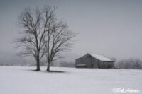 Landscape photography, Yellowstone & Grand Teton prints, photography tours, and information at Three Peaks Photography