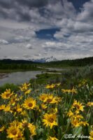 Landscape photography, Yellowstone & Grand Teton prints, photography tours, and information at Three Peaks Photography