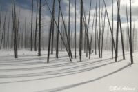 Landscape photography, Yellowstone & Grand Teton prints, photography tours, and information at Three Peaks Photography