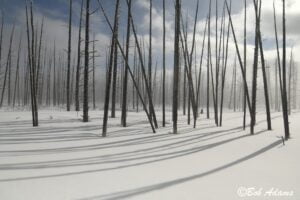 Landscape photography, Yellowstone & Grand Teton prints, photography tours, and information at Three Peaks Photography