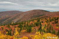 Landscape photography, Yellowstone & Grand Teton prints, photography tours, and information at Three Peaks Photography